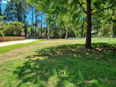 Residential Block For Sale - NSW - Bundanoon - 2578 - Registered and Ready to Build on!  (Image 2)