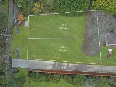Residential Block For Sale - NSW - Bundanoon - 2578 - Registered and Ready to Build on!  (Image 2)