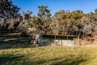 Lifestyle Sold - NSW - Mullamuddy - 2850 - Acres with Incredible Views  (Image 2)