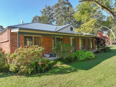 House For Sale - NSW - Lansdowne - 2430 - Immaculate small acreage property  (Image 2)