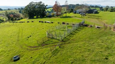 Other (Rural) For Sale - NSW - Dorrigo - 2453 - 'Mayliegh East'  (Image 2)