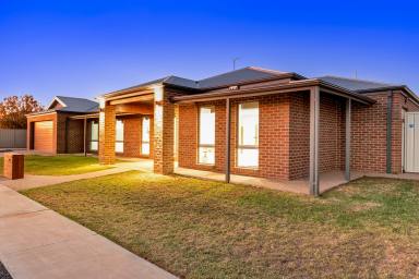 House Sold - VIC - Mildura - 3500 - Contemporary living  (Image 2)