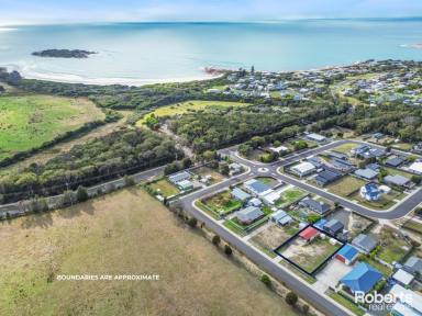 Residential Block For Sale - TAS - Bicheno - 7215 - Tranquil Bicheno Block with Shed and Facilities  (Image 2)