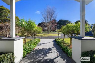 House For Sale - TAS - Barrington - 7306 - STUNNING LIFESTYLE PROPERTY | TRANQUIL POSITION  (Image 2)