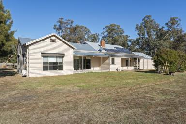 Lifestyle Sold - VIC - Violet Town - 3669 - An Expertly Executed Renovation in Tranquil Tamleugh  (Image 2)