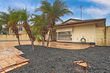 House Sold - WA - Spearwood - 6163 - Spacious family home close to everything!  (Image 2)