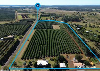 Cropping For Sale - QLD - North Isis - 4660 - ELEGANCE - LIFESTYLE - INCOME - STUNNING  (Image 2)