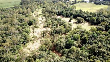 Residential Block Sold - QLD - Carruchan - 4816 - Vacant rural acreage with Creek frontage, water holes & lovely mountain views  (Image 2)