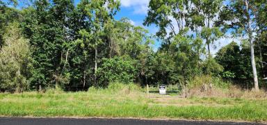 Residential Block Sold - QLD - Carruchan - 4816 - Vacant rural acreage with Creek frontage, water holes & lovely mountain views  (Image 2)