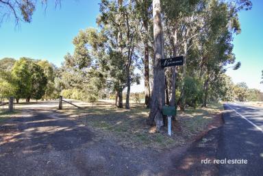 Lifestyle For Sale - NSW - Inverell - 2360 - LAID BACK LIVING AT "NGAMMA"  (Image 2)