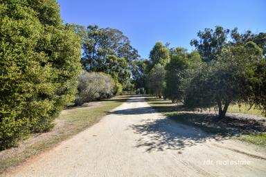 Lifestyle For Sale - NSW - Inverell - 2360 - LAID BACK LIVING AT "NGAMMA"  (Image 2)