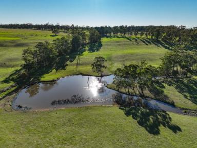 Lifestyle Sold - VIC - Irrewillipe - 3249 - STUNNING COLAC – OTWAY DISTRICT COUNTRY  (Image 2)