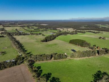 Lifestyle Sold - VIC - Irrewillipe - 3249 - STUNNING COLAC – OTWAY DISTRICT COUNTRY  (Image 2)