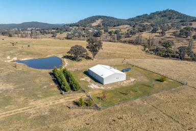 Livestock Sold - NSW - Peelwood - 2583 - "SMITHLEE FARM RETREAT"  (Image 2)