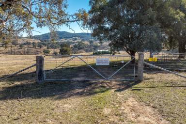 Livestock For Sale - NSW - Peelwood - 2583 - "SMITHLEE FARM RETREAT"  (Image 2)