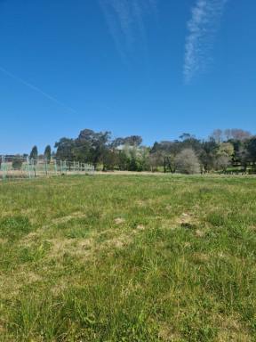 Residential Block For Sale - NSW - Moss Vale - 2577 - Premium Location  (Image 2)