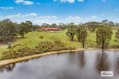 House For Sale - VIC - Eppalock - 3551 - A Charmed Country Lifestyle Awaits on 21.70 Acres / 8.78 Hectares  (Image 2)