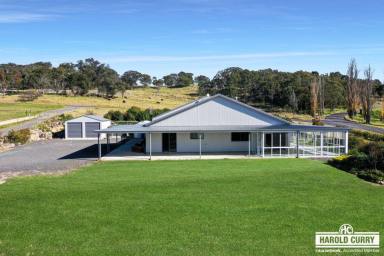 House For Sale - NSW - Tenterfield - 2372 - Elevation Providing Magnificent Views.....  (Image 2)