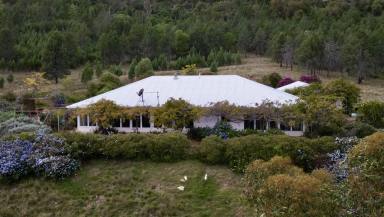 Other (Rural) For Sale - NSW - Gunnedah - 2380 - Sunny Uralba - Prime Position - Family home set on 818 acres!  (Image 2)