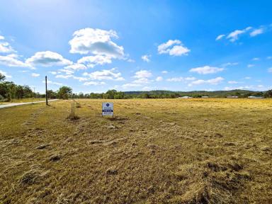 Residential Block For Sale - QLD - Dimbulah - 4872 - 29.12 ACRES ON A BLANK CANVAS WITH CREEK  (Image 2)