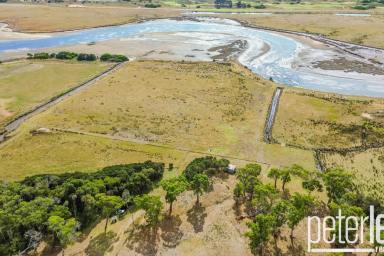 Residential Block For Sale - TAS - Bridport - 7262 - Stunning waterfront acreage block overlooking Barnbougle  (Image 2)