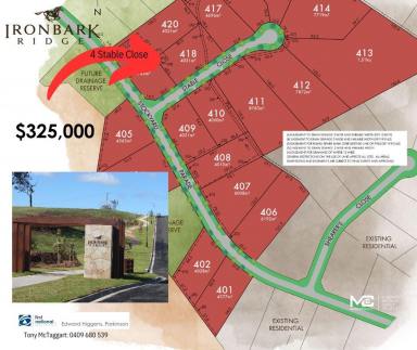 Residential Block For Sale - NSW - Muswellbrook - 2333 - GENEROUS ACREAGE SIZED RURAL RESIDENTIAL LOT WITH ENORMOUS FRONTAGE OF 80 MTRS ON THE EDGE OF TOWN  (Image 2)