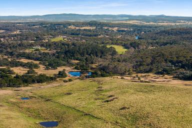 Livestock For Sale - NSW - Tallong - 2579 - Build The Dream Country Retreat  (Image 2)