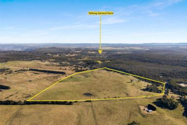 Livestock For Sale - NSW - Tallong - 2579 - Build The Dream Country Retreat  (Image 2)