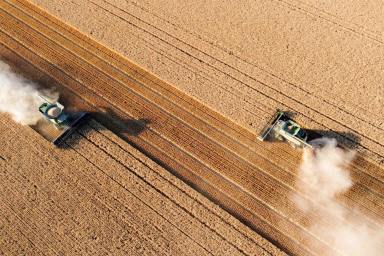 Mixed Farming For Sale - NSW - Eurongilly - 2663 - Premium mixed farming opportunity (1,314* hectares) situated in the tightly held Eurongilly Valley  (Image 2)