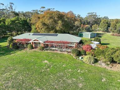 Lifestyle For Sale - VIC - Barongarook West - 3249 - QUALITY HOME WITH AMAZING VIEWS  (Image 2)