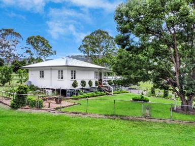 House Sold - QLD - Canungra - 4275 - Discover the Charm of this renovated country cottage, thriving as an AirBNB nestled on one of the best 5 acre lots you'll find with abundant water!  (Image 2)