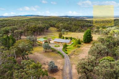 Lifestyle Sold - NSW - Goulburn - 2580 - Rural Lifestyle Abound at Tinkers Run, Goulburn!  (Image 2)