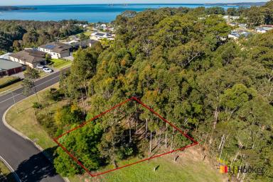 Residential Block For Sale - NSW - Long Beach - 2536 - Backing onto leafy escarpment and only 1.1klms to the Beach !  (Image 2)