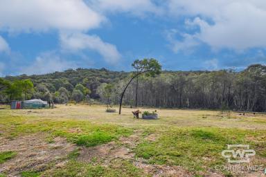 Mixed Farming Sold - NSW - Mount Mitchell - 2365 - Secluded 9.24ha Rural Building Block  (Image 2)