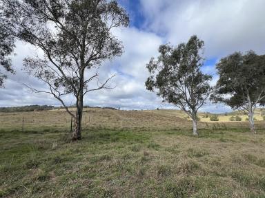 Acreage/Semi-rural For Sale - NSW - Bannaby - 2580 - Peace and Quiet, Surrounded By Beautiful Views, Creek and 2 Dams, Zoned Ru2, Perfect  Country Weekend Retreat.  (Image 2)