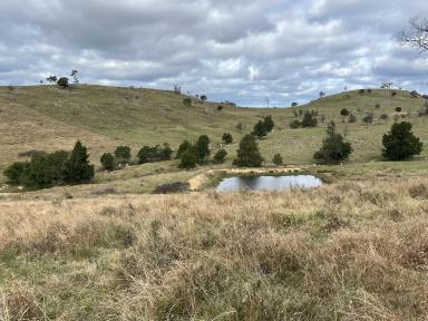 Residential Block For Sale - NSW - Bannaby - 2580 - Get ready to relax and unwind in the country away from the city noise and rabble, Your country home away from home awaits on 40 beautiful acres..  (Image 2)