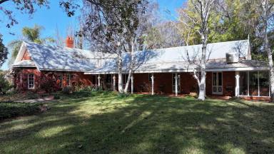 Other (Rural) For Sale - NSW - Beelbangera - 2680 - Peaceful Sanctuary With Town Proximity  (Image 2)