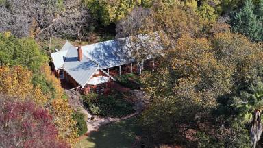 Other (Rural) For Sale - NSW - Beelbangera - 2680 - Peaceful Sanctuary With Town Proximity  (Image 2)