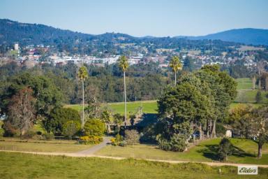 House For Sale - NSW - Angledale - 2550 - ROCKLEIGH HOMESTEAD -  CLASSIC BRICK  (Image 2)