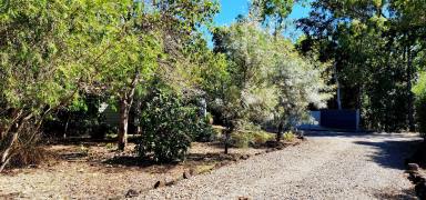 House Sold - QLD - Cardwell - 4849 - Amazing 1b/r beachside cottage is close to the beach and is  the secret garden in Cardwell  (Image 2)