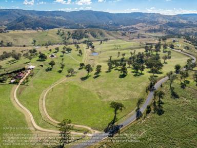 Other (Rural) For Sale - NSW - Ganbenang - 2790 - Southern Cross  (Image 2)