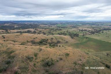 Mixed Farming For Sale - NSW - Inverell - 2360 - PRIME FARMING OPPORTUNITY  (Image 2)
