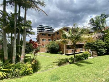Unit Leased - NSW - Forster - 2428 - Bright and Breezy 2 Bedroom Unit Close to Main Beach and Pebbly Beach  (Image 2)