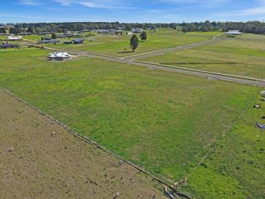 Residential Block For Sale - VIC - Lindenow South - 3875 - LEVEL AND READY TO BUILD  (Image 2)