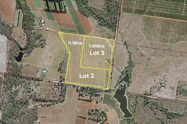 Cropping For Sale - QLD - South Kolan - 4670 - 47 ACRES, 2 TITLES, IRRIGATION, SHED & ENDLESS POTENTIAL  (Image 2)