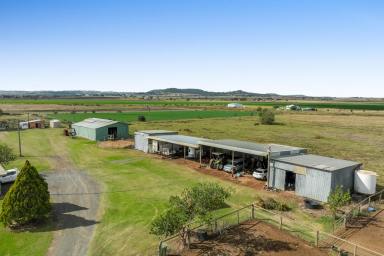 Lifestyle For Sale - QLD - Westbrook - 4350 - "Green Banks"  36 .2 Acres of Prime Equine, Livestock, or Small Crop Farming Country  (Image 2)