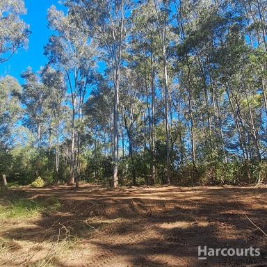 Residential Block For Sale - QLD - Owanyilla - 4650 - Elevated Acreage  (Image 2)