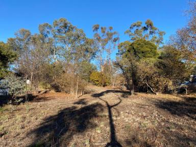 Residential Block Sold - SA - Springton - 5235 - Build ready large block in peaceful Springton.  20 minutes to the Barossa or the Adelaide Hills.  (Image 2)