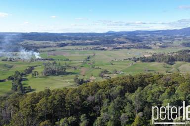 Residential Block For Sale - TAS - Karoola - 7267 - Spectacular Views on 20 Hectares  (Image 2)