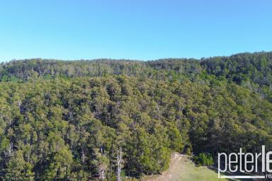 Residential Block For Sale - TAS - Karoola - 7267 - Spectacular views on 20 Hectares  (Image 2)
